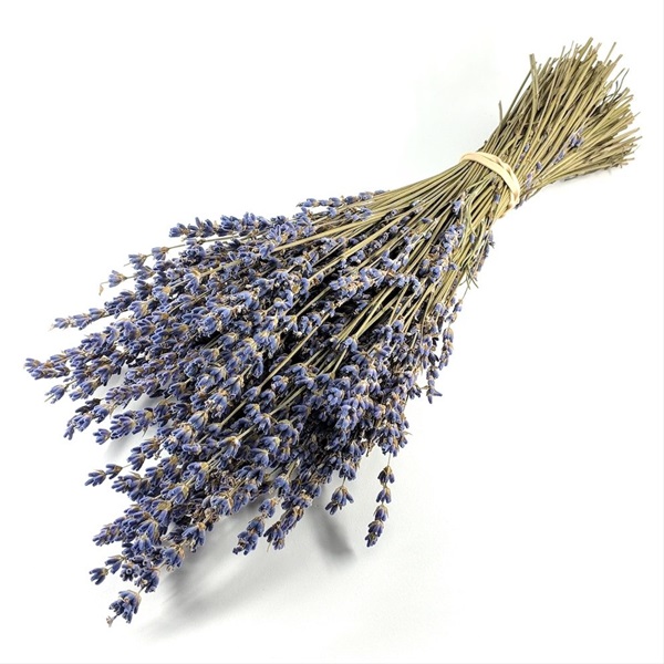 Lavender Dry Lavender Flowers and Fillers Flowers by category